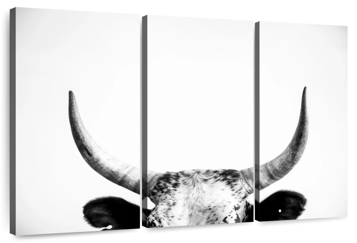 Cow Horns Wall Art
