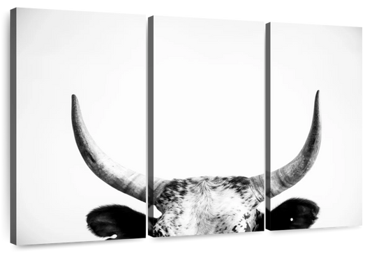 Cow Horns Wall Art