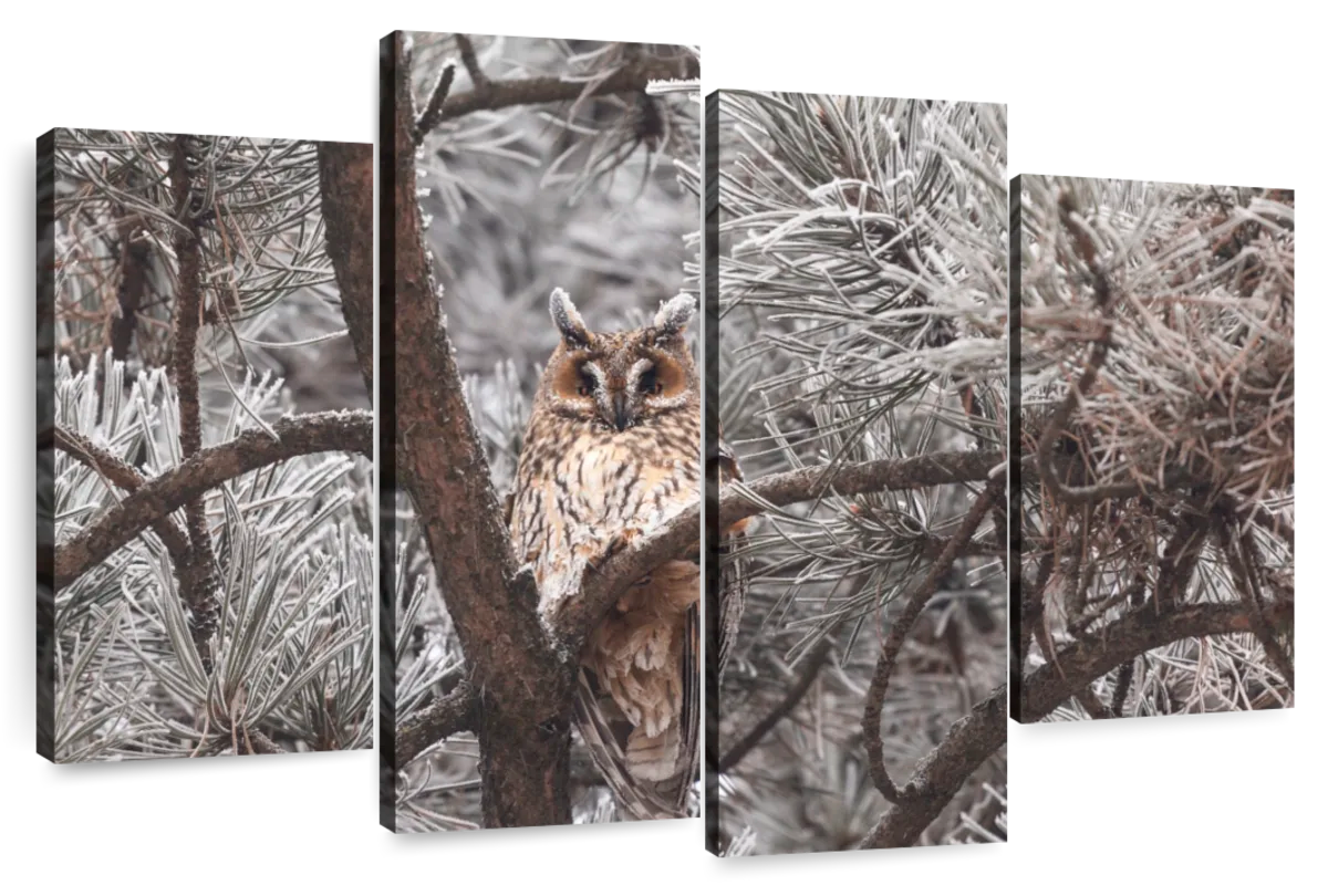 Great Horned Owl Wall Art