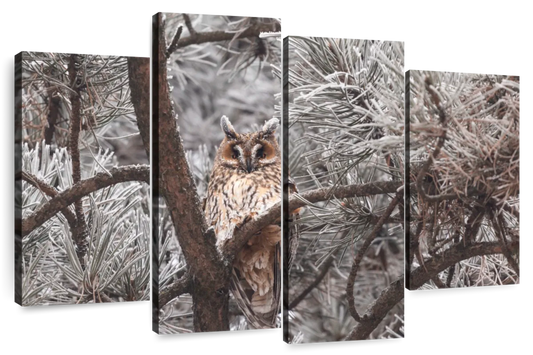 Great Horned Owl Wall Art