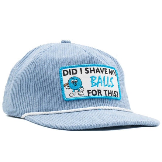 Did I Shave My Balls For This?