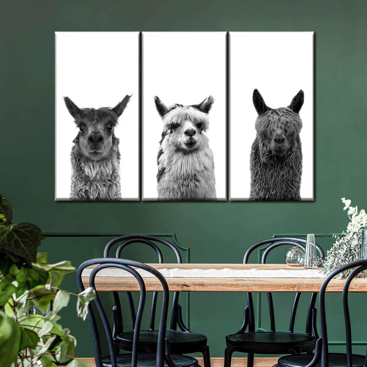 Trio Alpaca Wall Art
