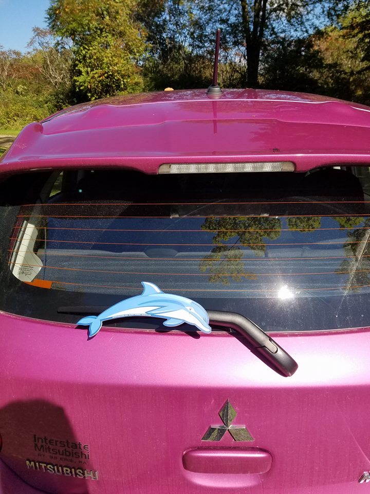 Bottlenose Dolphin WiperTag