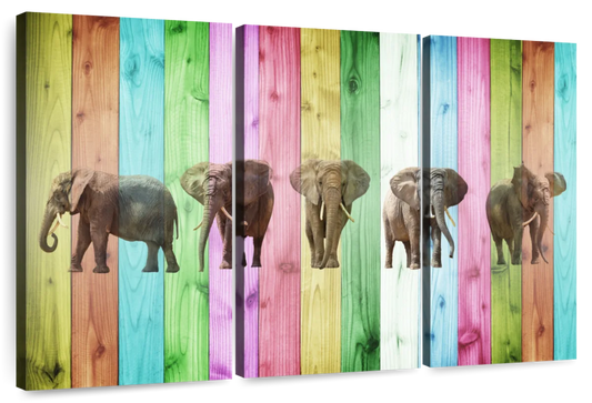 Color Stripe Elephants