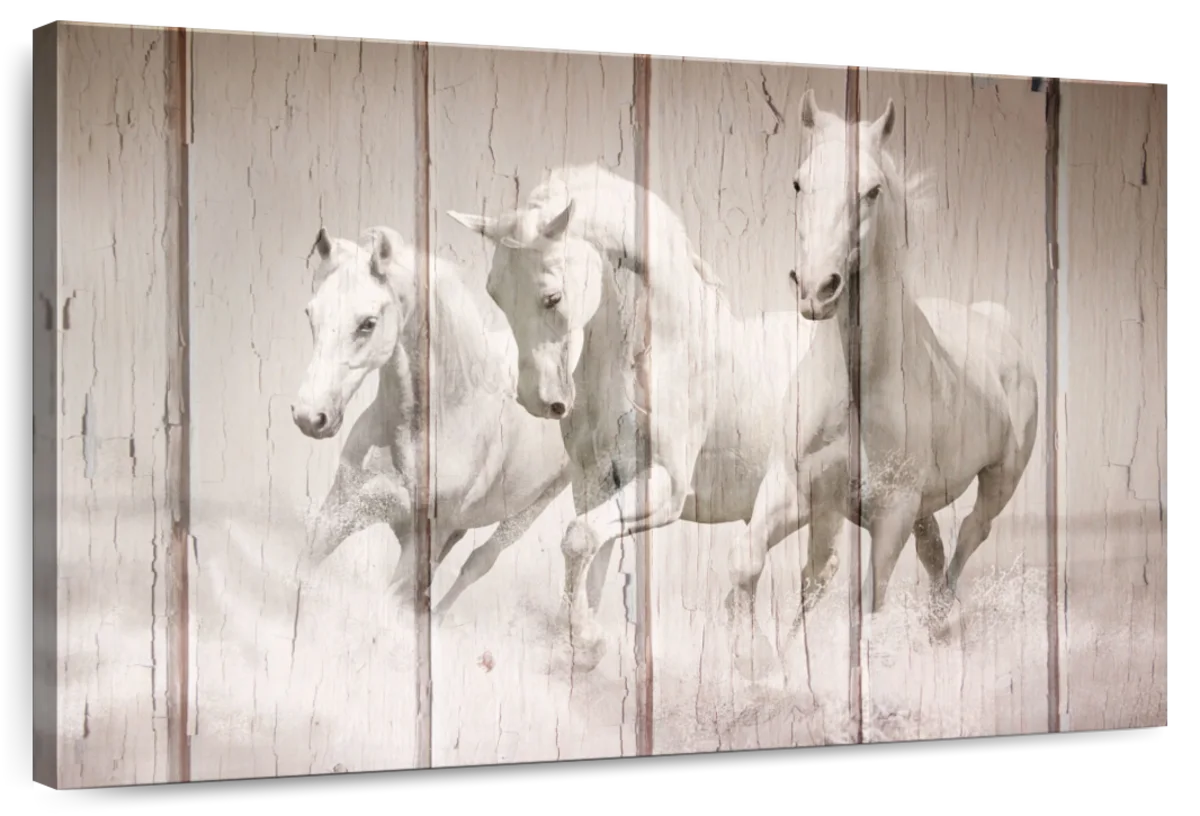 Rustic White Horses Wall Art