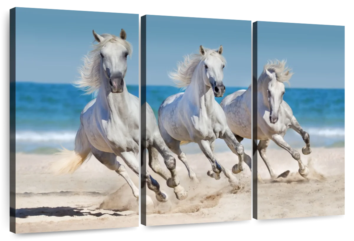 Wild Beach Horses Wall Art