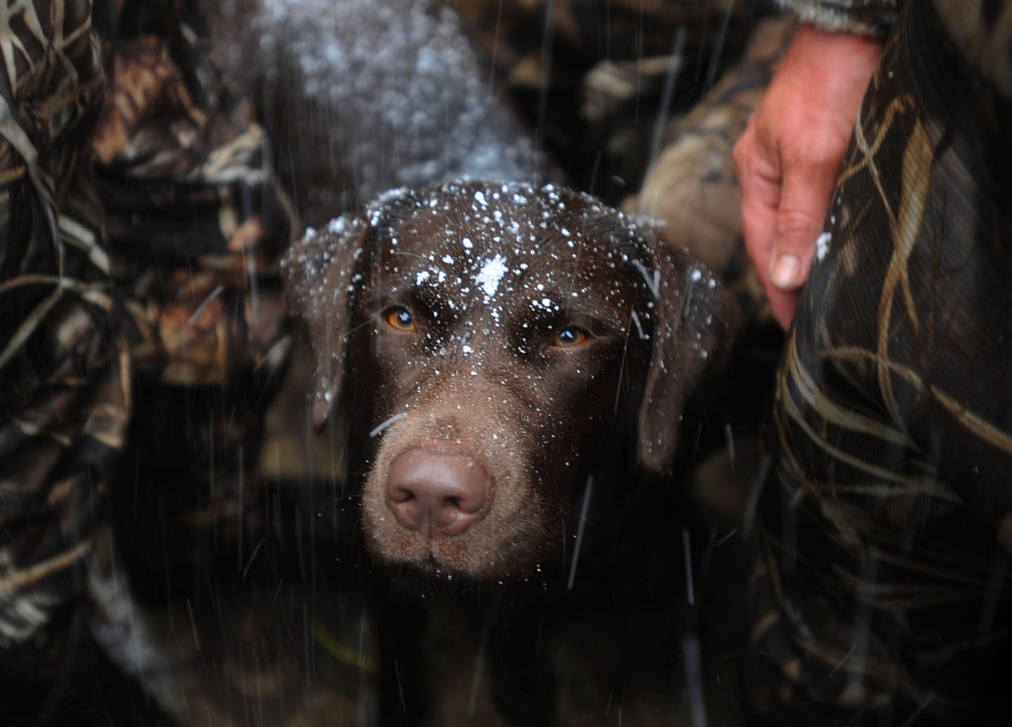 Reflections of: Presque Isle: A Visual Journey