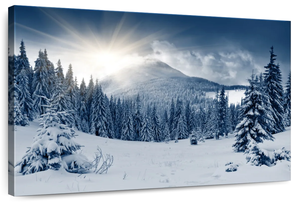 Landscape Winter Wall Art