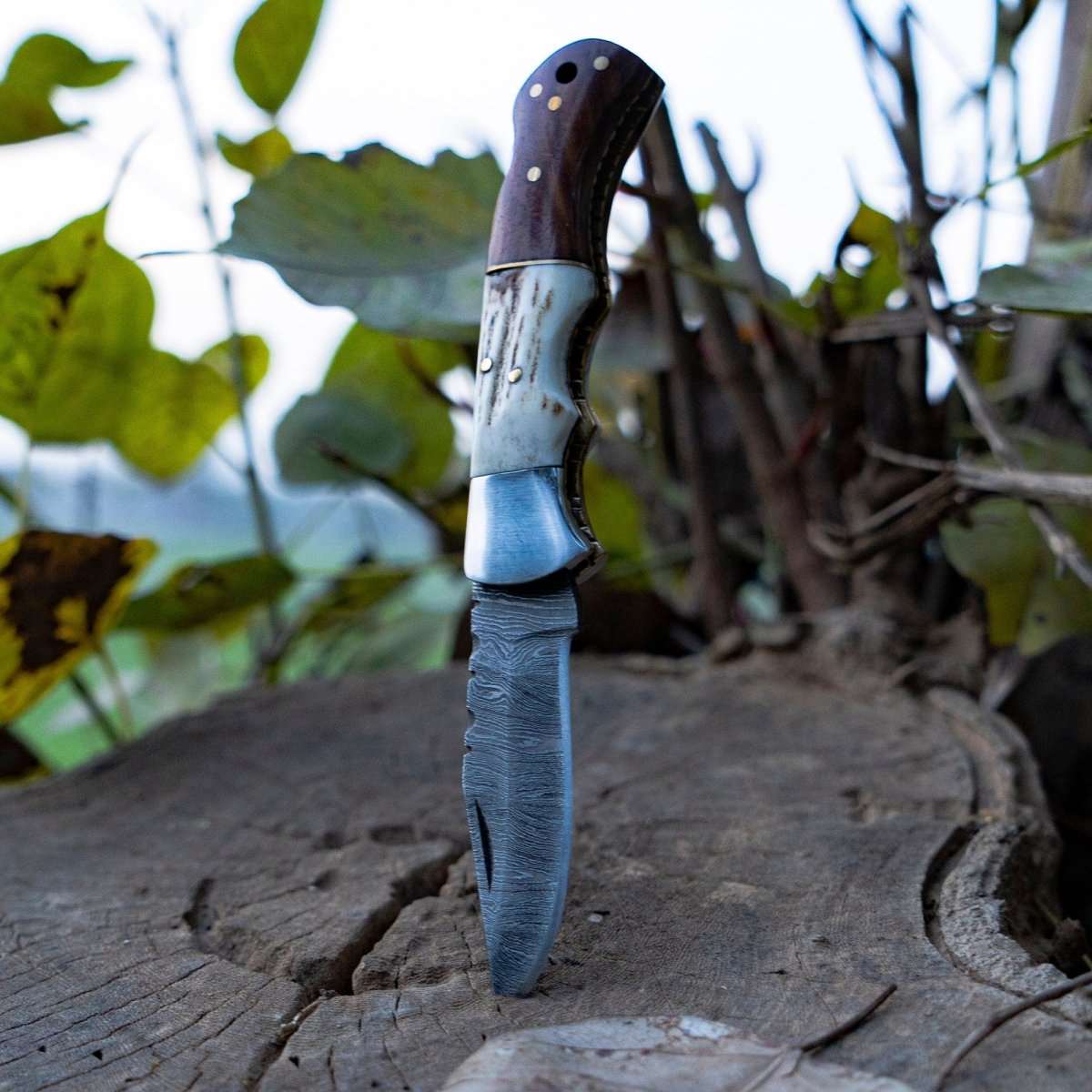 Echo Damascus Pocket Knife with Stag Horn/Antler & Rosewood Handle