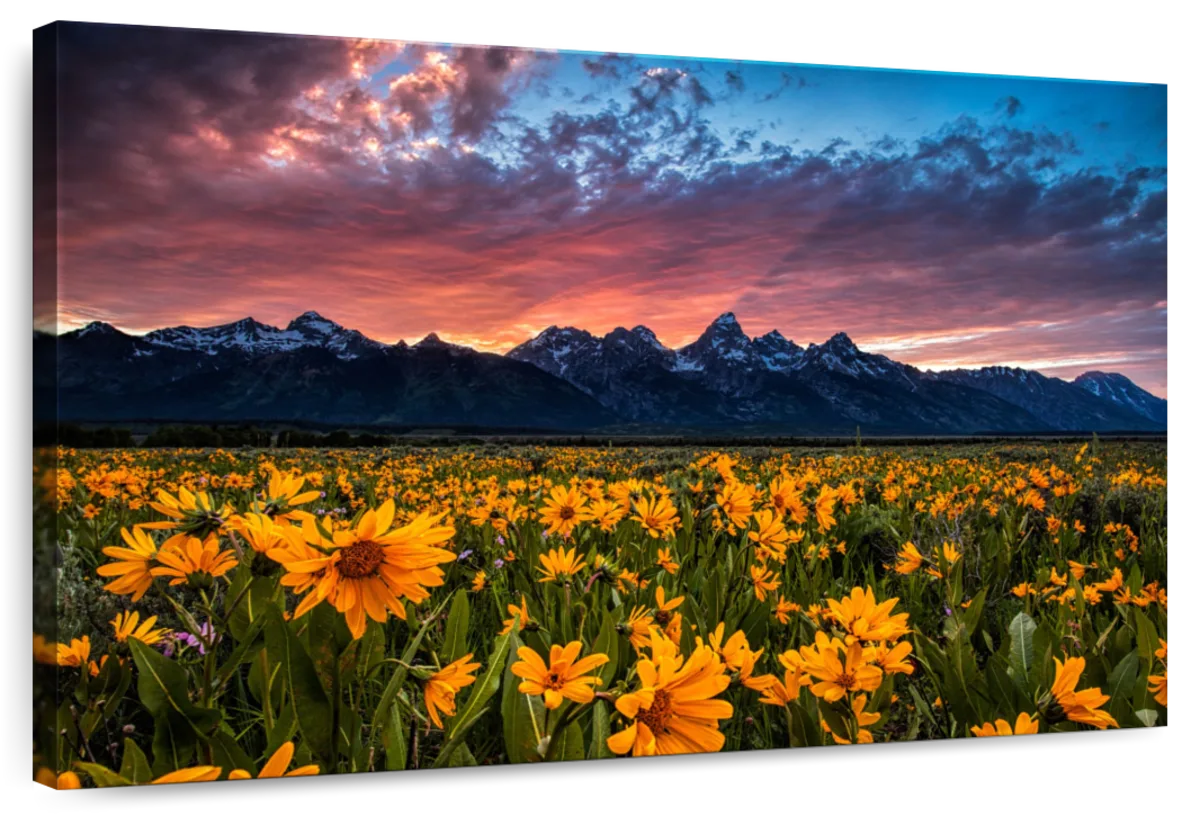 Grand Teton Wildflowers Wall Art