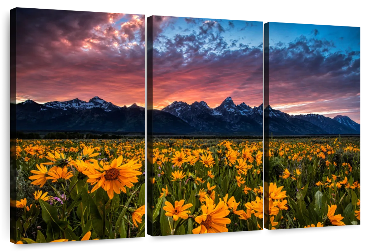Grand Teton Wildflowers Wall Art