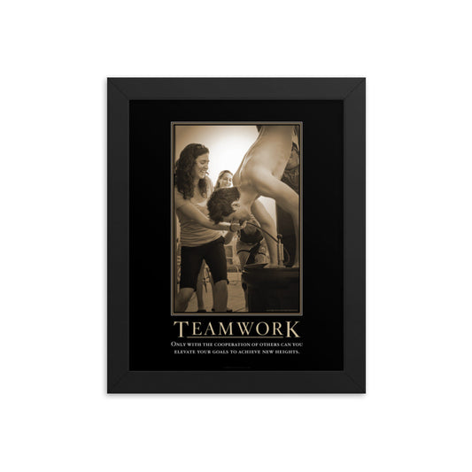 Teamwork Demotivational Framed Print