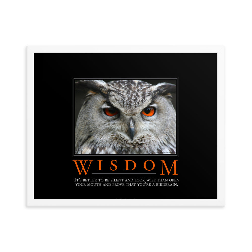 Wisdom Demotivational Framed Print