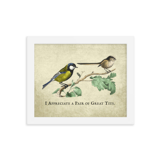 Great Pair of Tits Framed Print