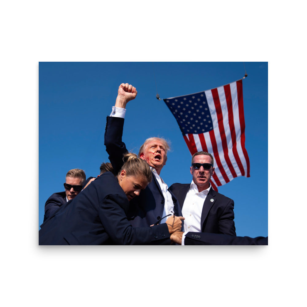 Trump Fight Print
