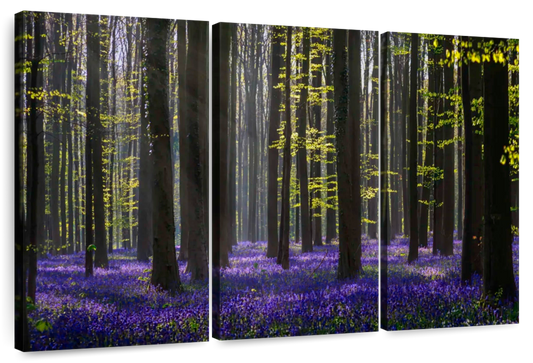 Lavender In The Forest Wall Art