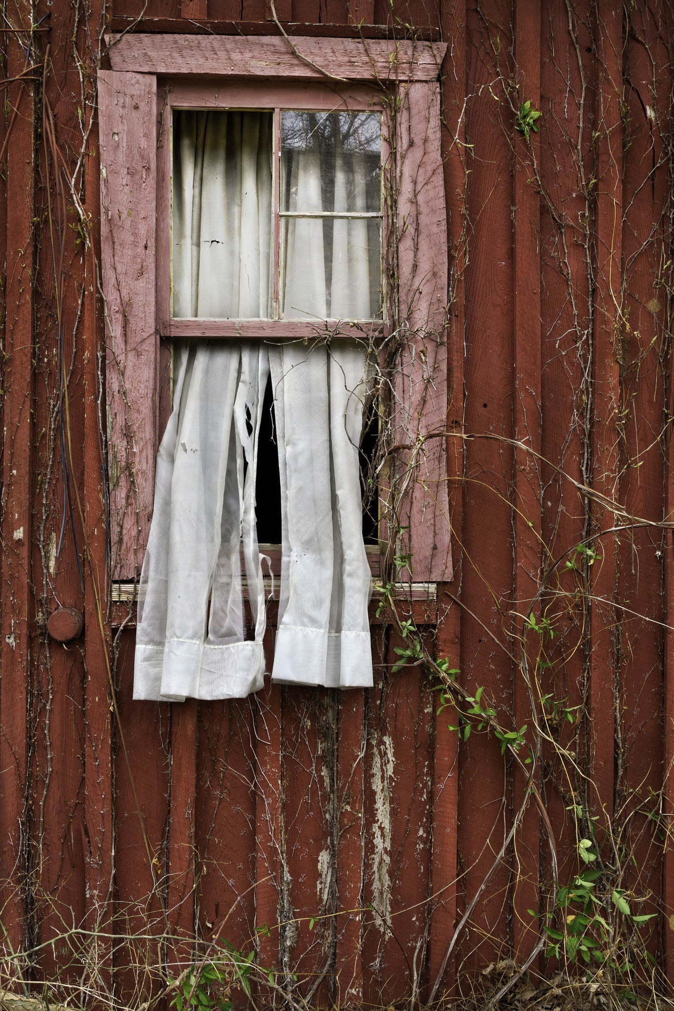 Capture Arkansas IV: The best of Arkansas in Photography