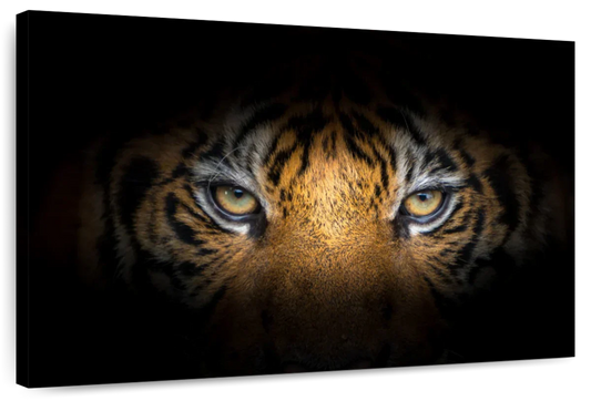 Tiger Gaze Wall Art