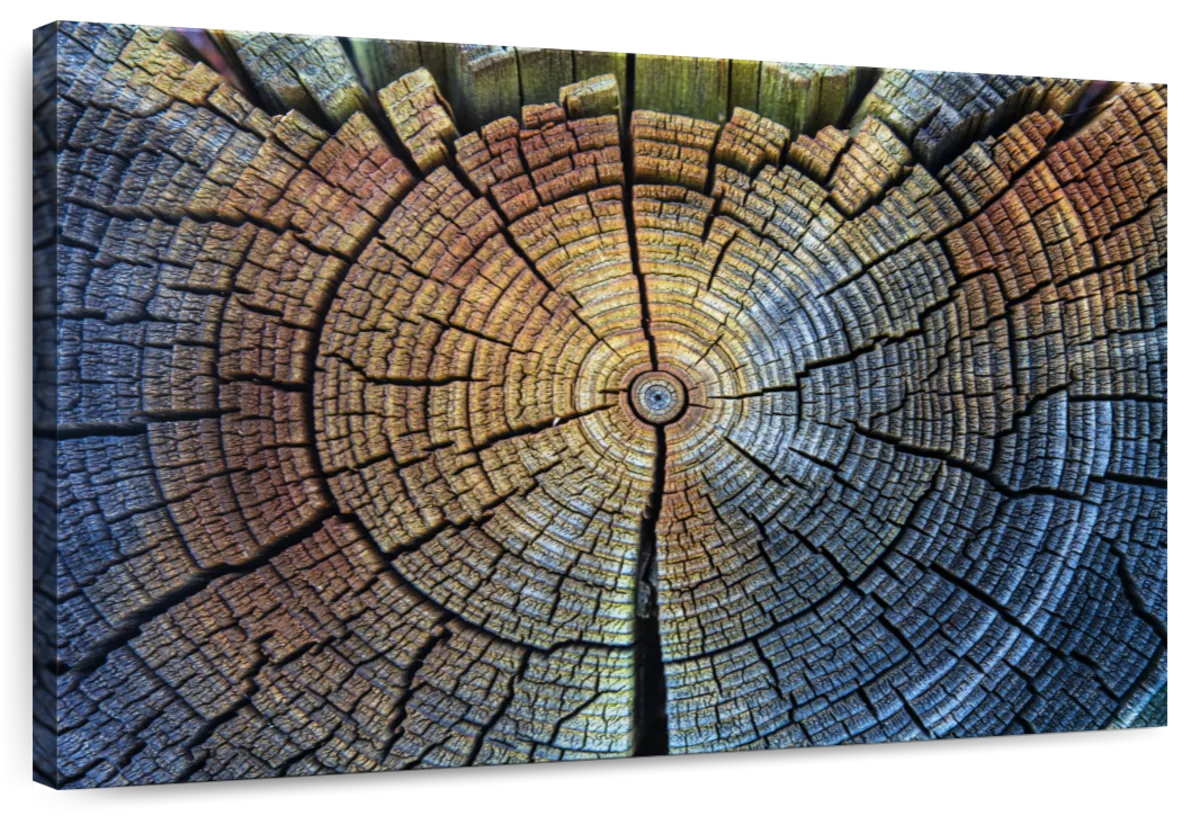 Tree Trunk Pattern Wall Art