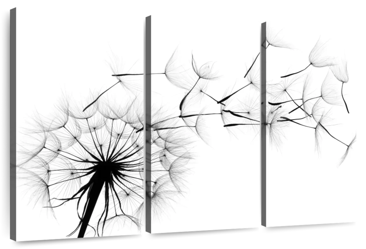 Flying Dandelion Wall Art