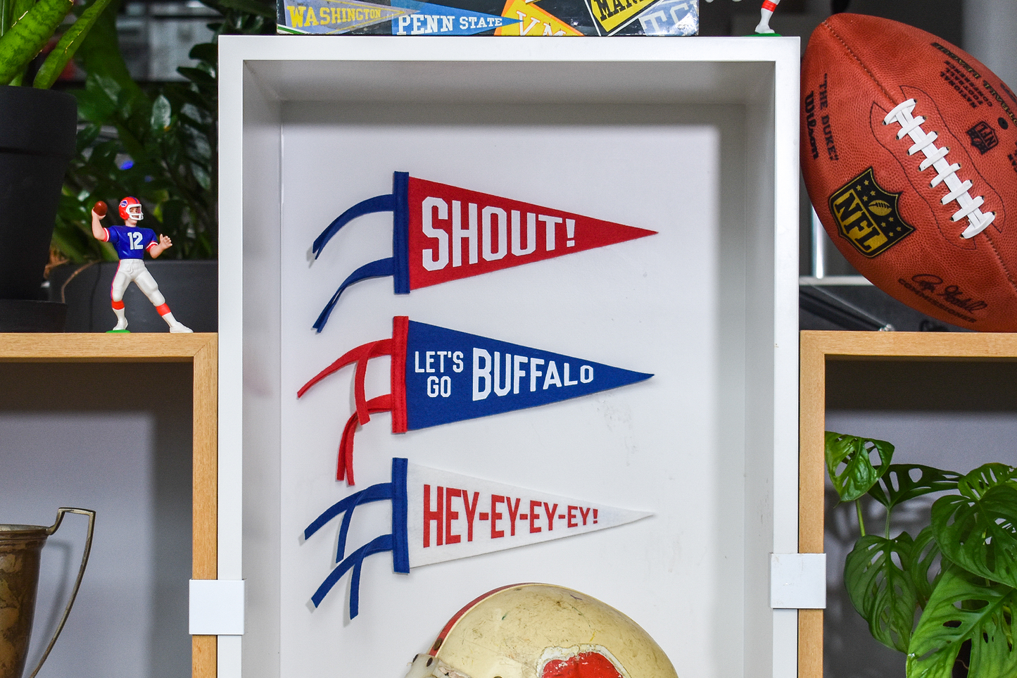 Buffalo Mini Pennants
