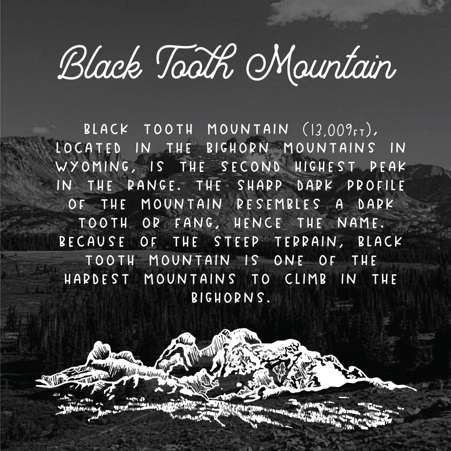Black Tooth Mountain Bracelet