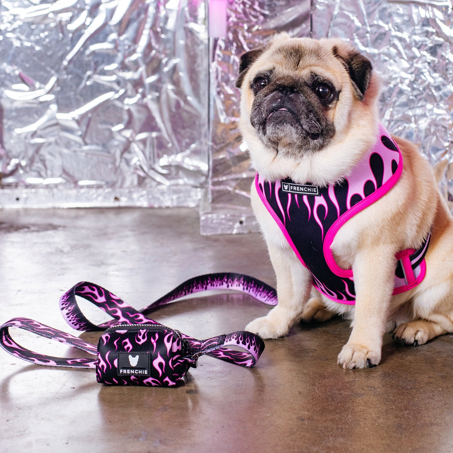 Frenchie Poo Bag Holder - Flames (Pink)