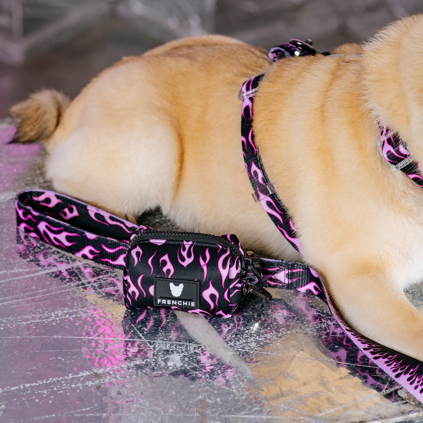 Frenchie Poo Bag Holder - Flames (Pink)