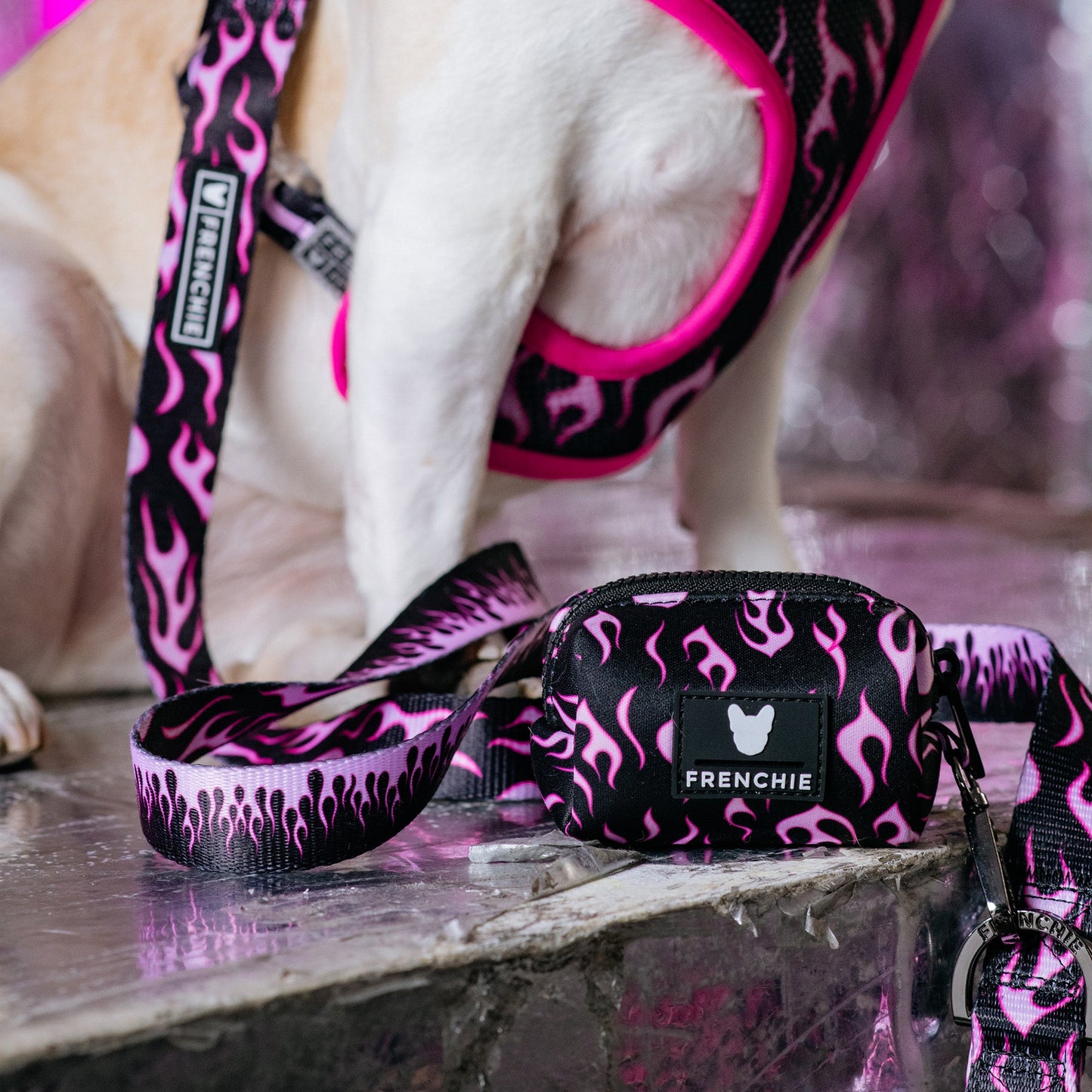 Frenchie Poo Bag Holder - Flames (Pink)