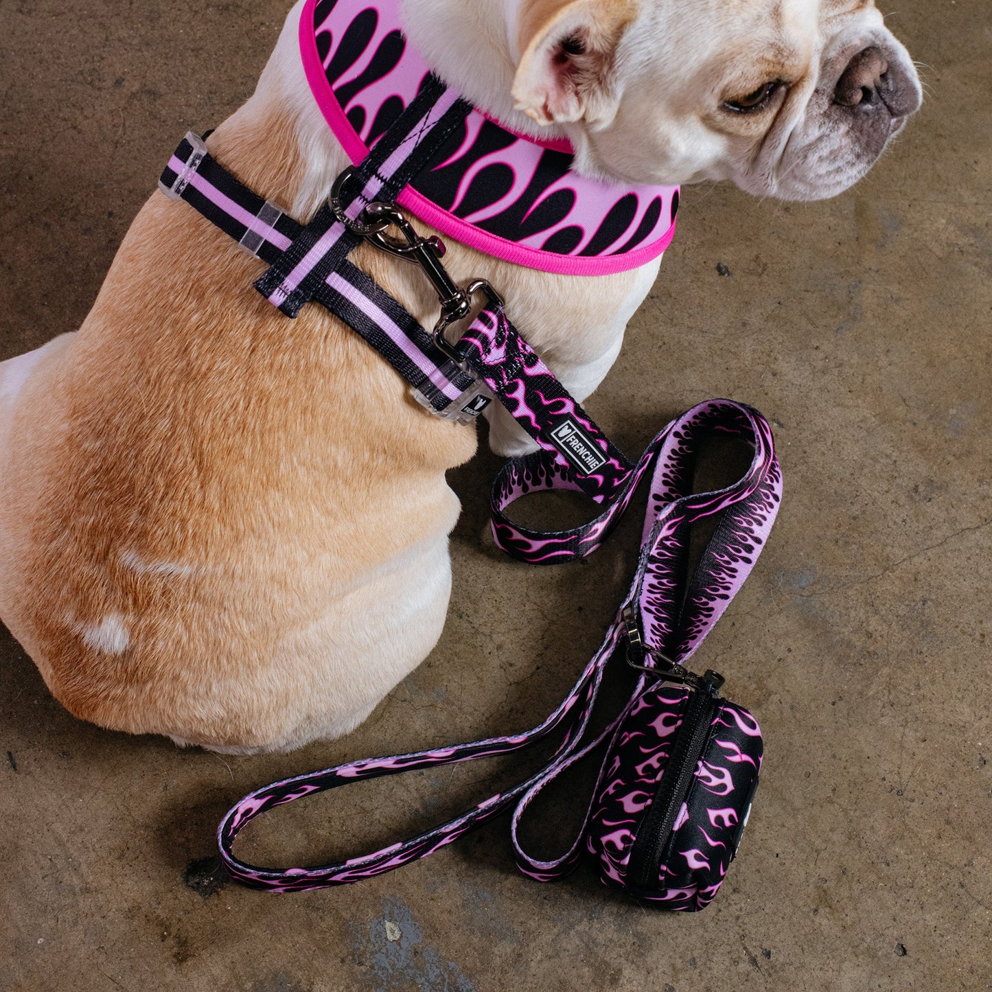 Frenchie Poo Bag Holder - Flames (Pink)