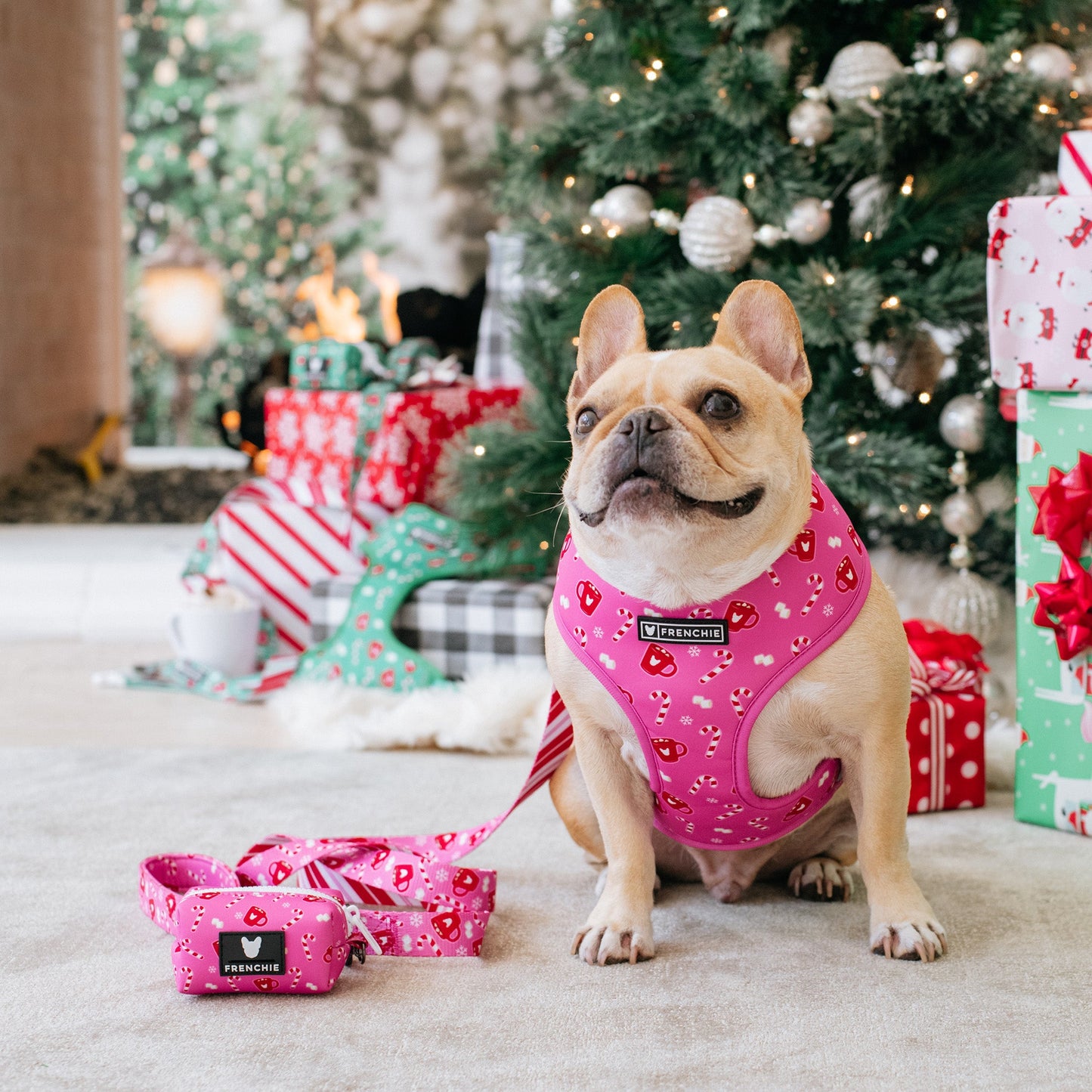 Frenchie Poo Bag Holder - Hot Cocoa (Pink)