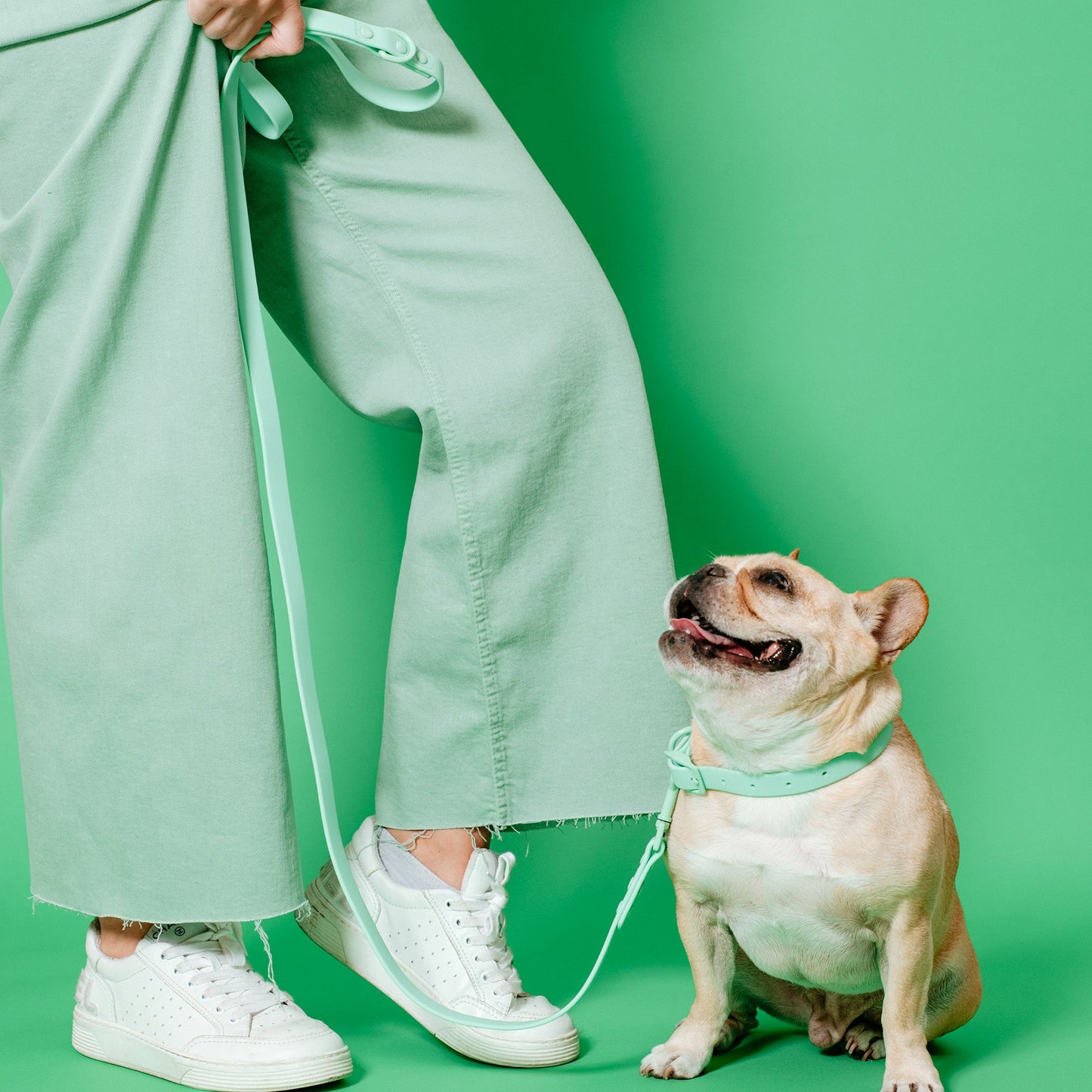 Frenchie Waterproof Leash - Mint Green