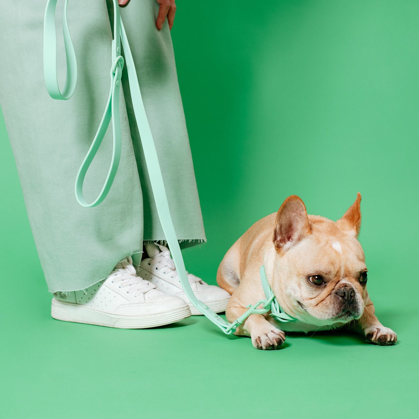 Frenchie Waterproof Leash - Mint Green