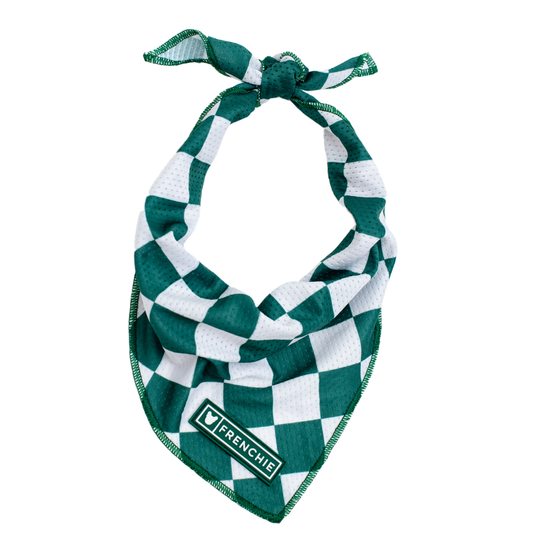 Frenchie Cooling Bandana - Solid Emerald City