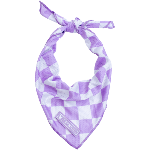 Frenchie Cooling Bandana - Solid Lavender