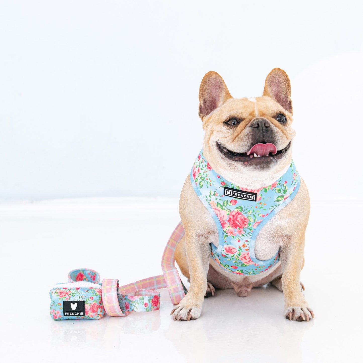 Frenchie Duo Reversible Harness - Secret Garden