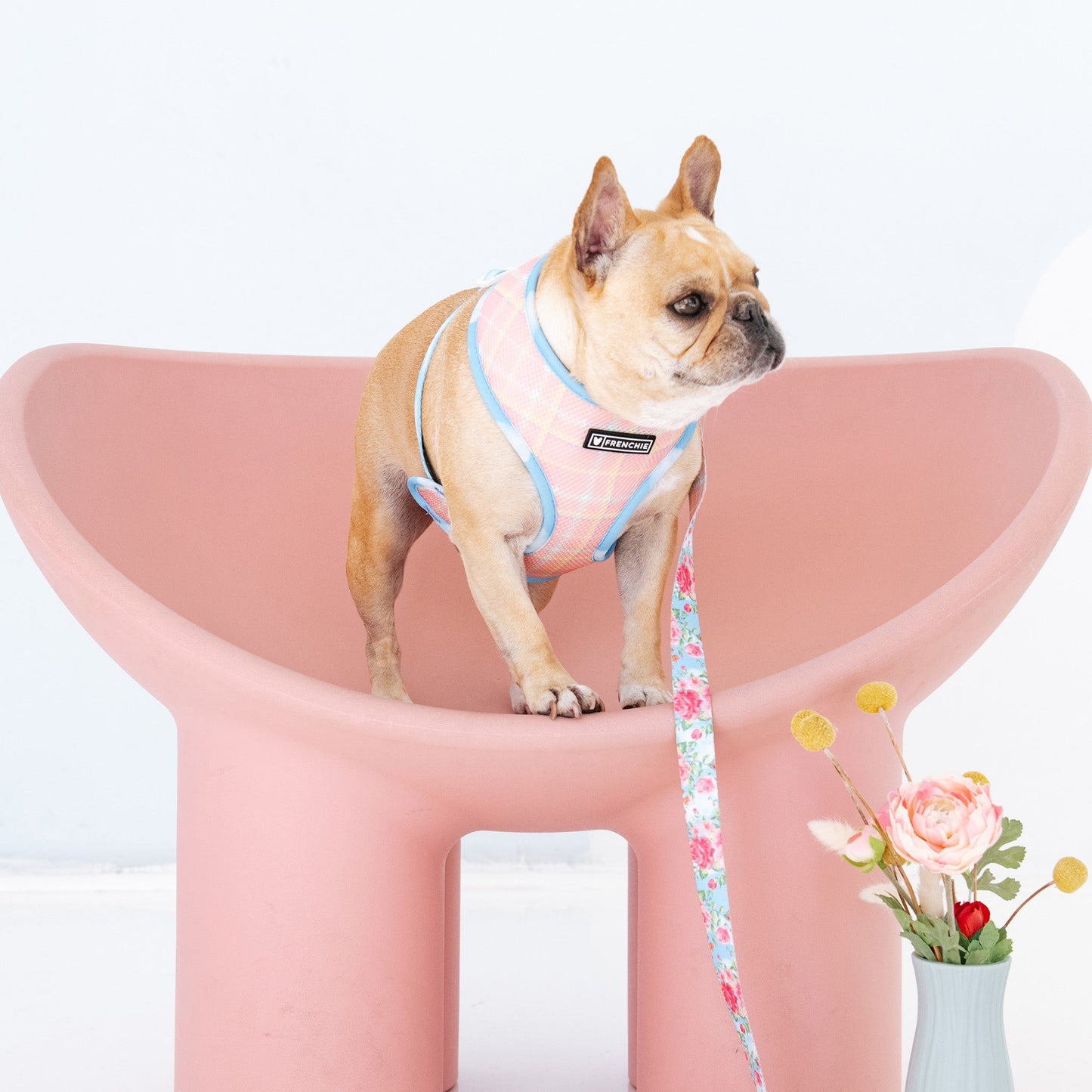 Frenchie Duo Reversible Harness - Secret Garden