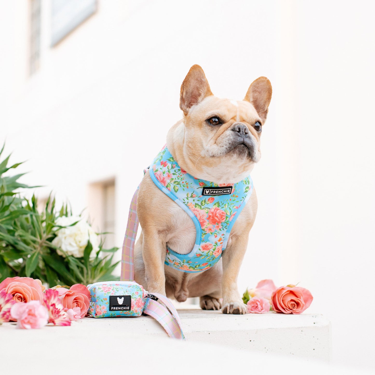 Frenchie Duo Reversible Harness - Secret Garden