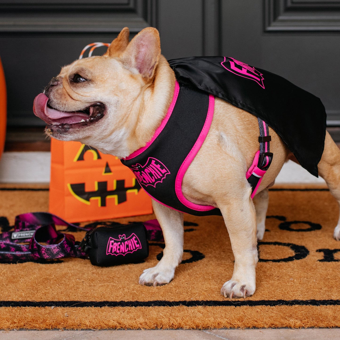 Frenchie Poo Bag Holder - Super Pig (Pink)