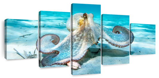 Roaming Octopus Wall Art