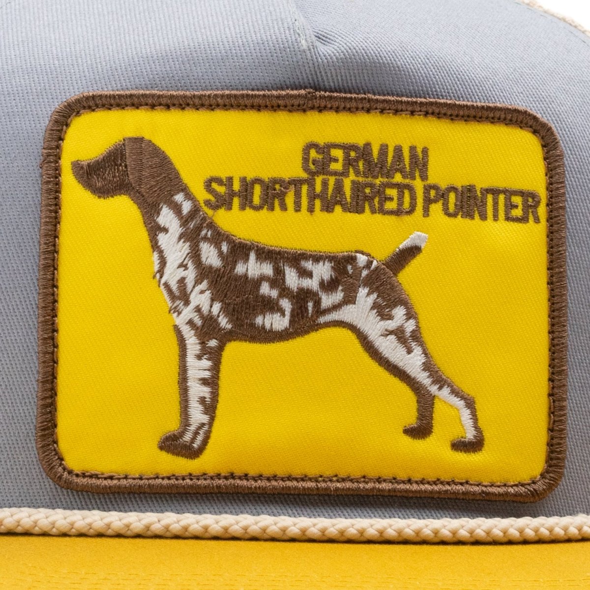 German Shorthaired Pointer