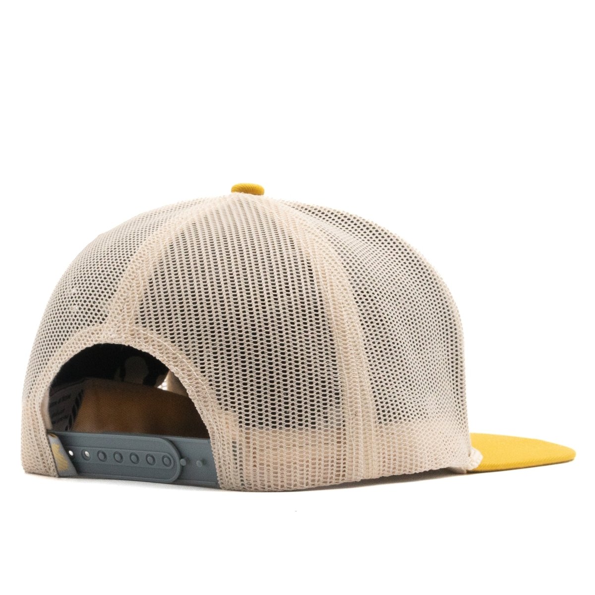 German Shorthaired Pointer