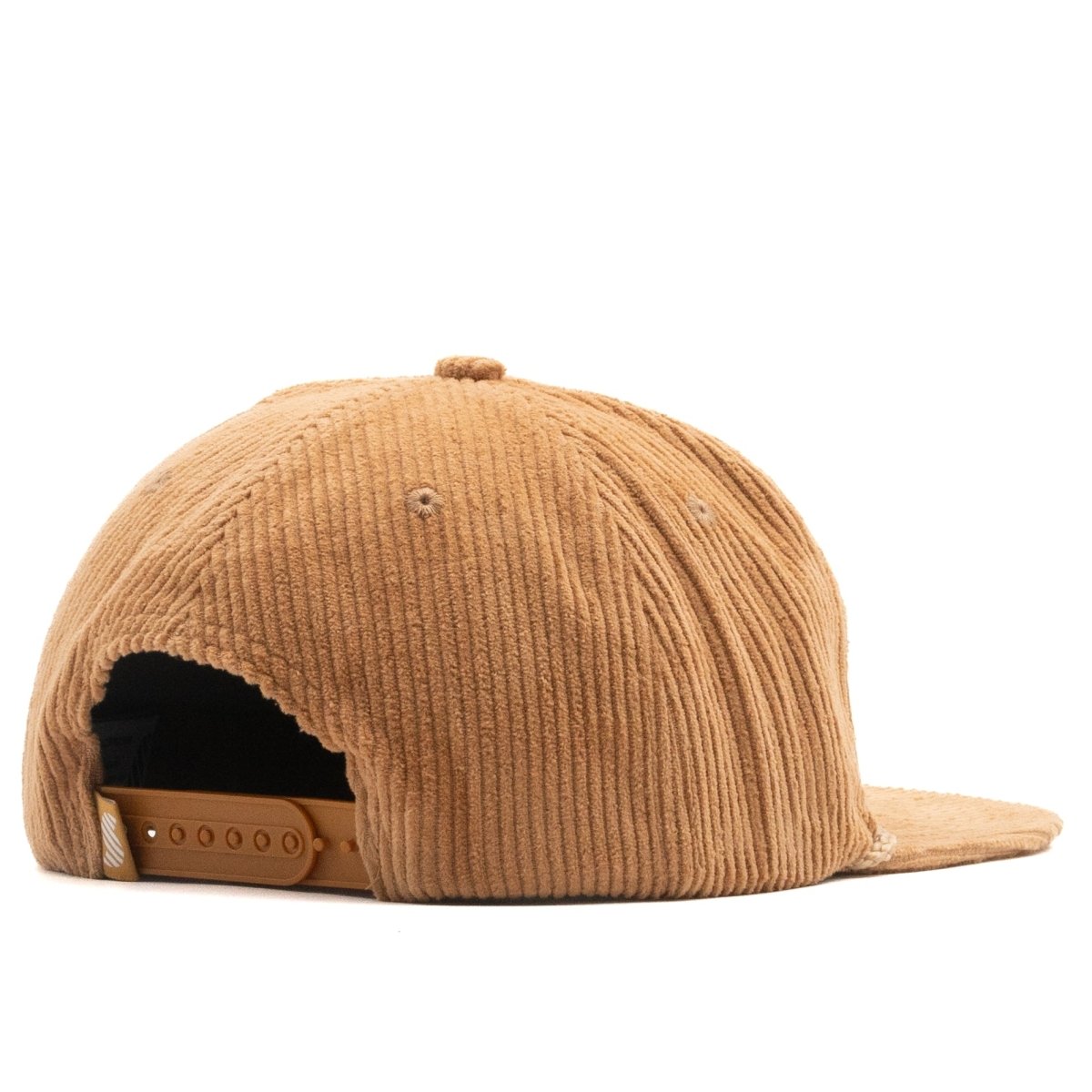 German Shorthaired Pointer