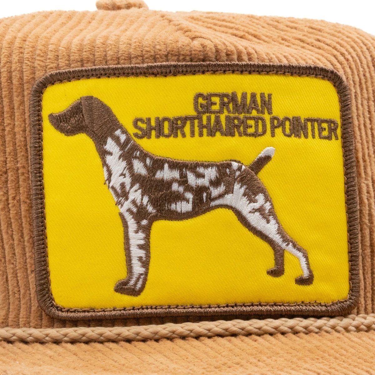 German Shorthaired Pointer