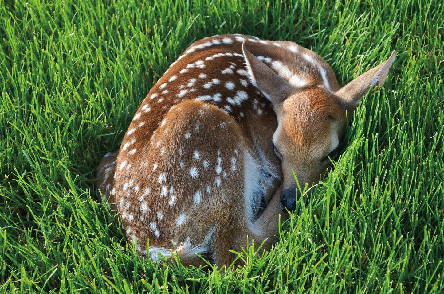 Capture Greater Lehigh Valley: The Best of the Lehigh Valley in Photography