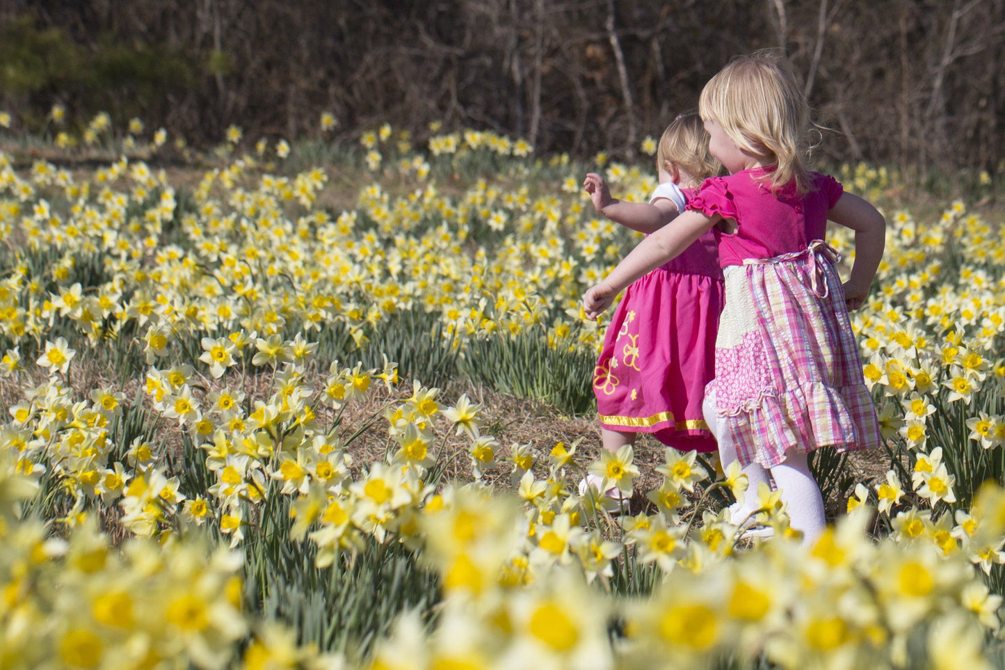 Capture Arkansas IV: The best of Arkansas in Photography