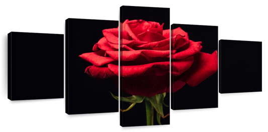 Forlorn Red Rose Wall Art