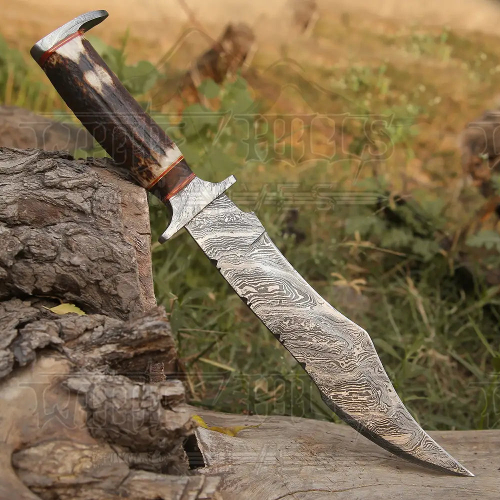 Handmade Damascus Steel Hunting Bowie Fix Blade Knife With Stag Antler Handle WH 4422