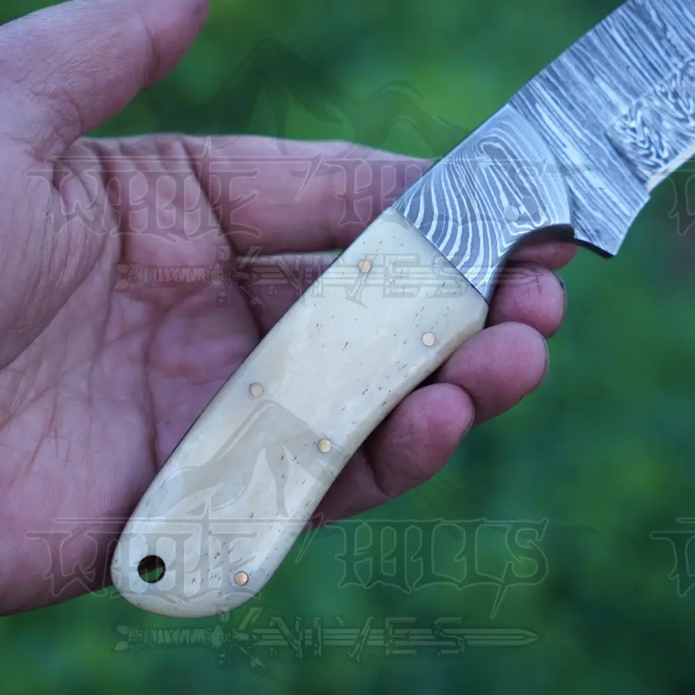 Handmade Damascus Steel Hunting Knife with Damascus Bolster & Camel Bone Handle