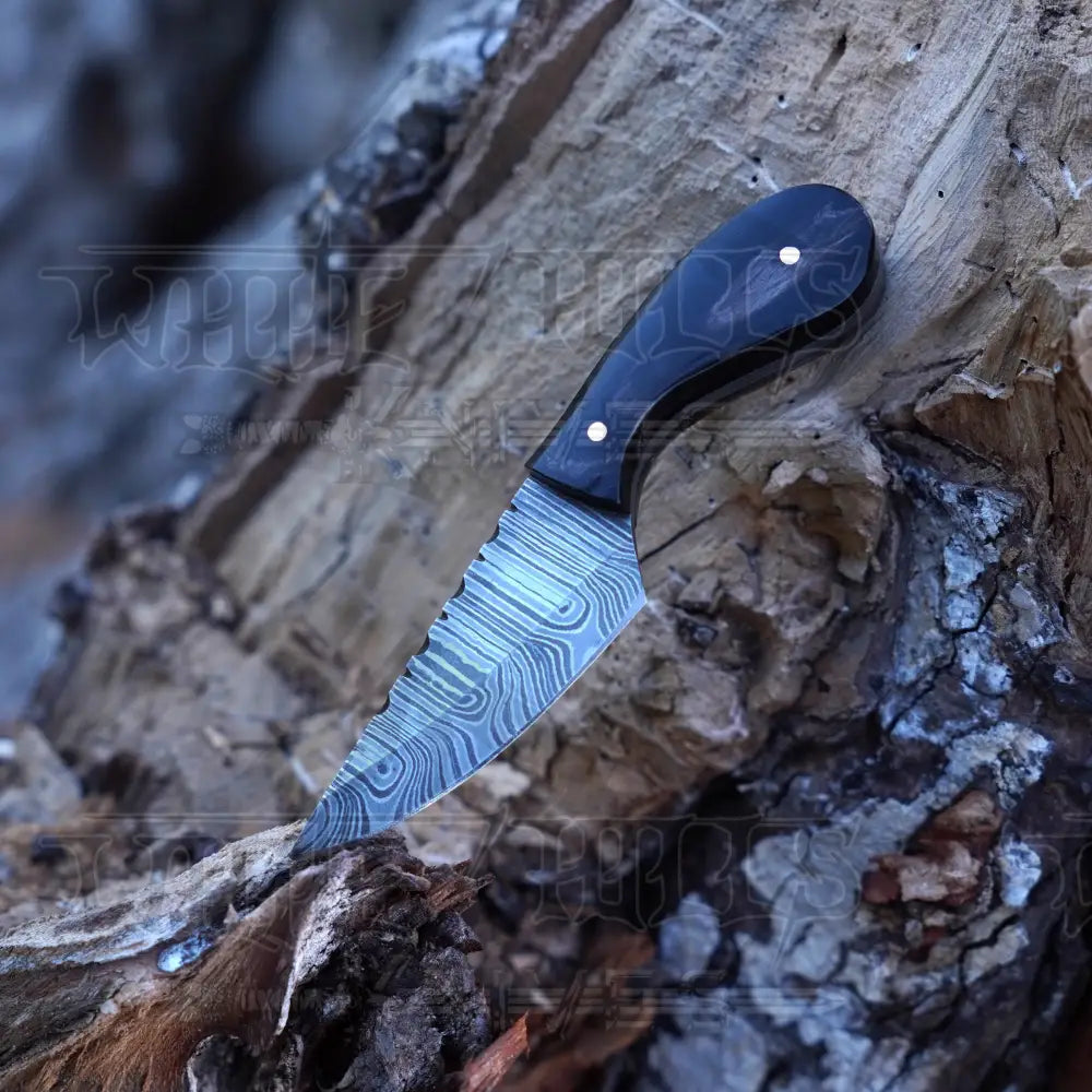 Handmade Damascus Steel Knife - Buffalo Horn Handle - 5" Full Tang Hunting & Camping Knife - SK-028